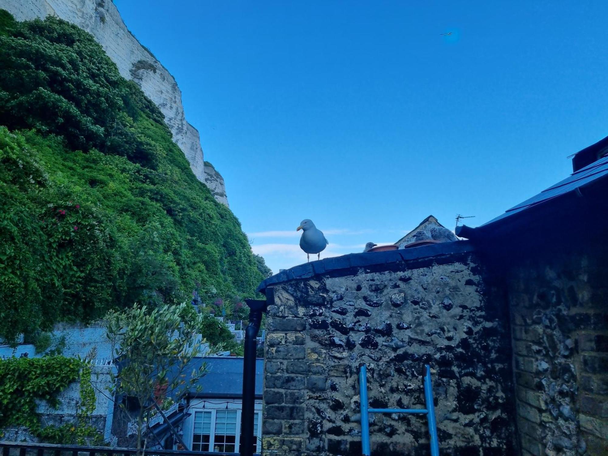 First And Last Youth Hostel Dover Exterior foto